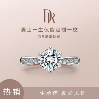 DR Darry Ring白18 K/プラチナ六爪の女性用ダイリング結婚指輪は、女性用カステラ40点D色VVS 2カートVGホワイト18 K金を使っています。